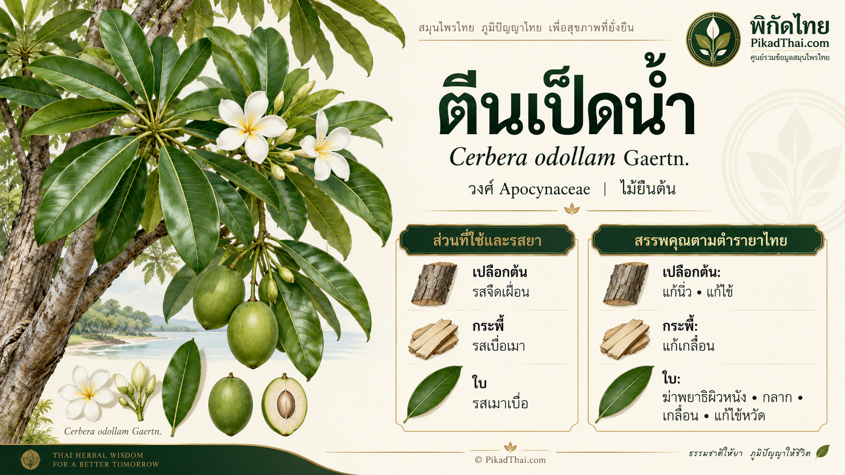 ตีนเป็ดน้ำ