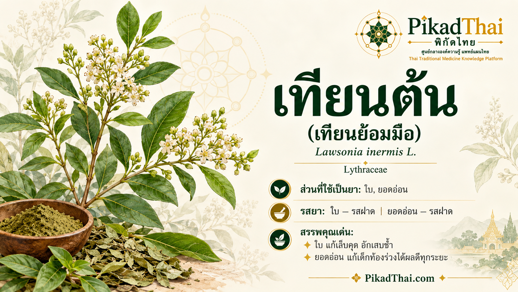 เทียนต้น (เทียนย้อมมือ)