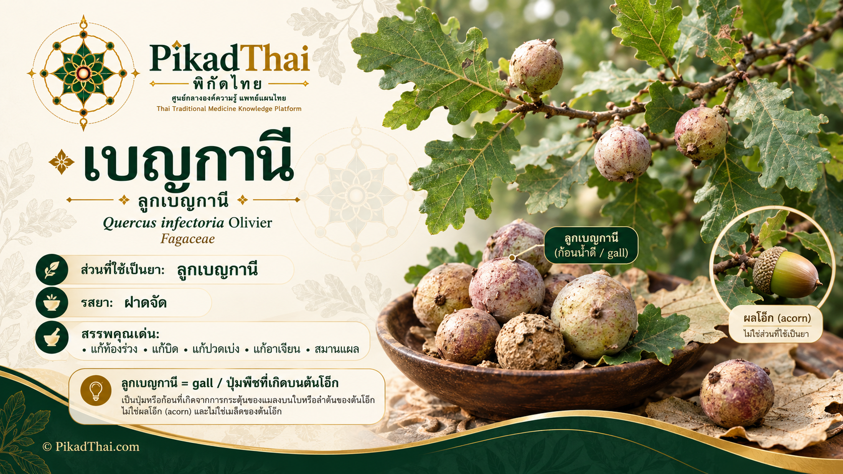 เบญกานี