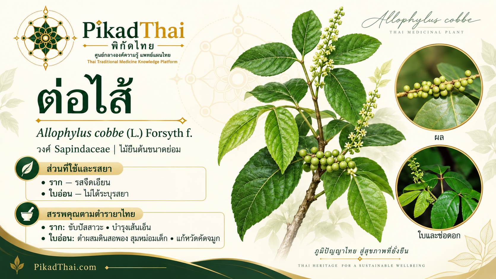 ต่อไส้