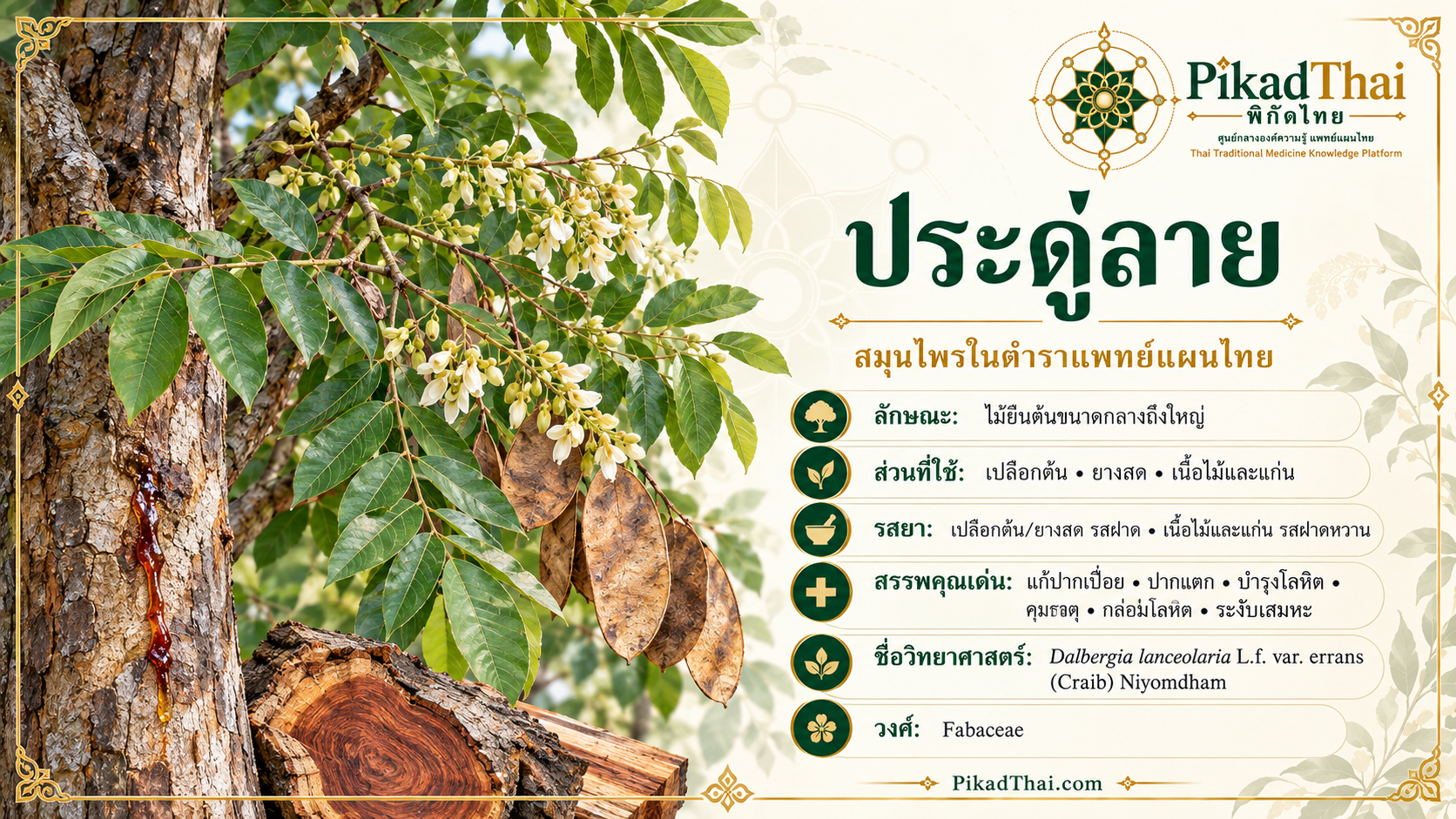ประดู่ลาย