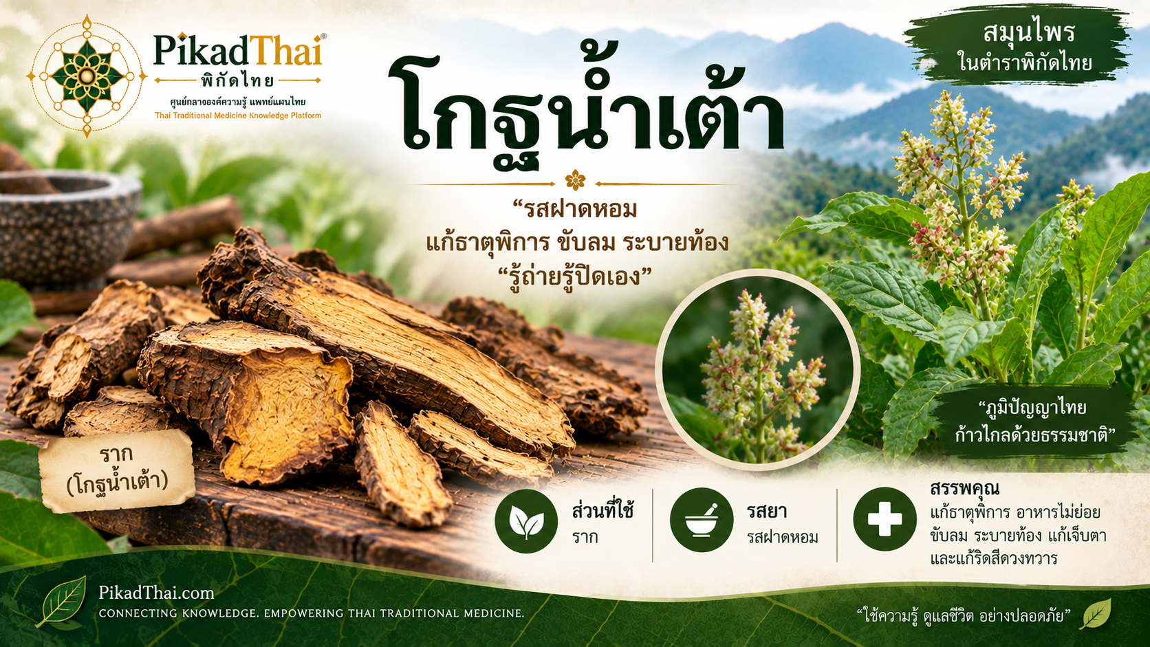 โกฐน้ำเต้า