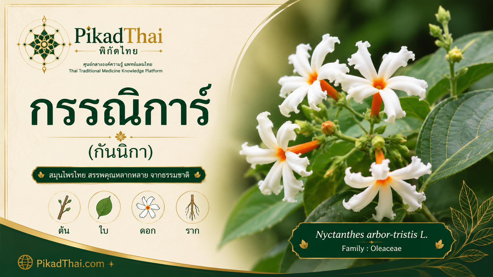 กรรณิการ์