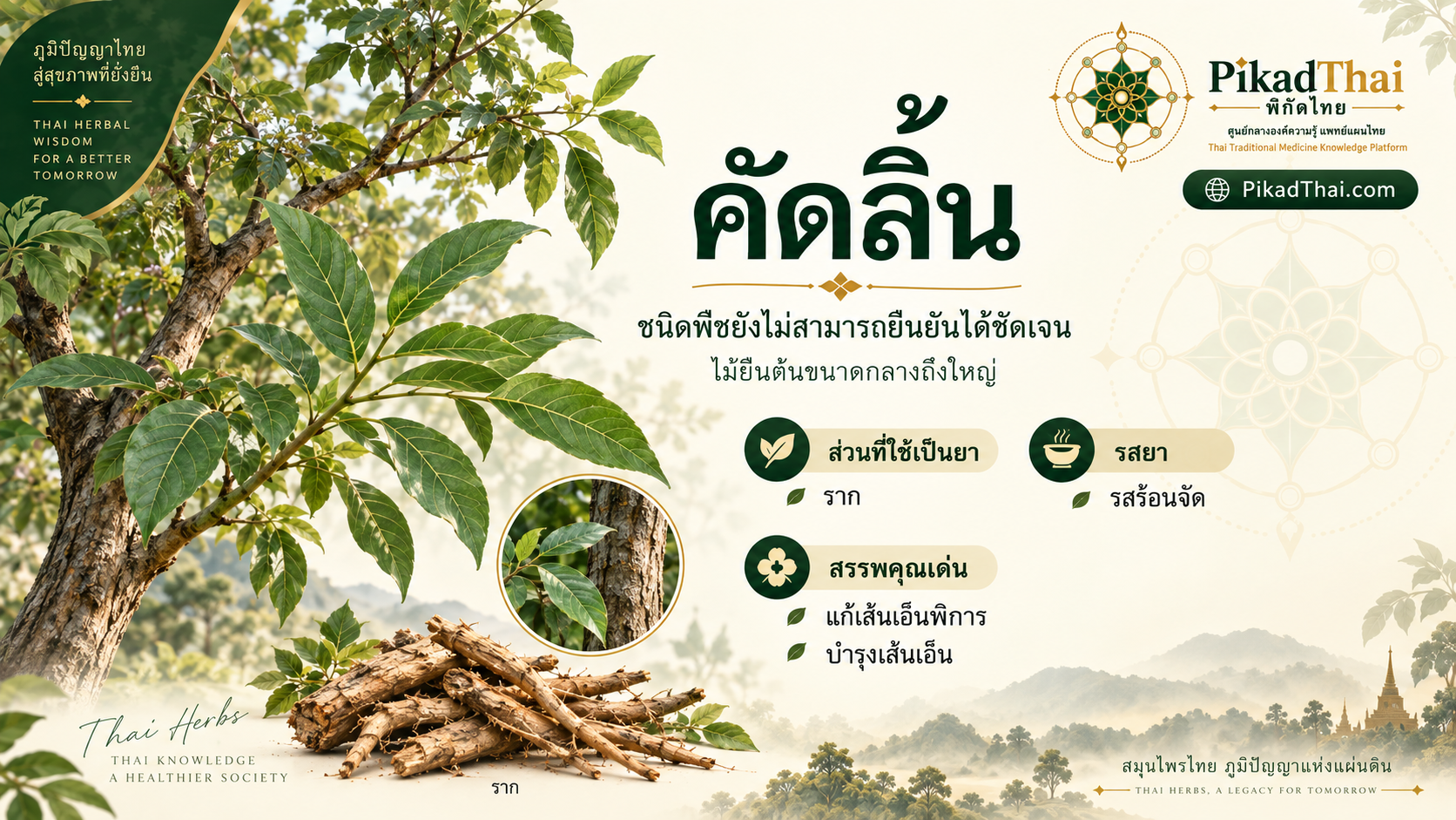 คัดลิ้น