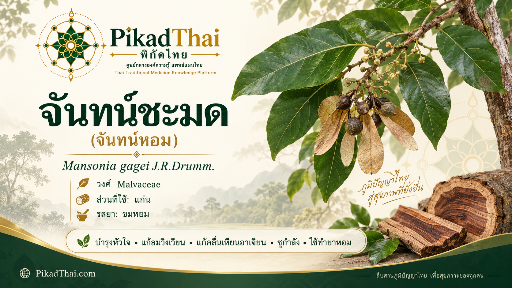 จันทน์ชะมด
