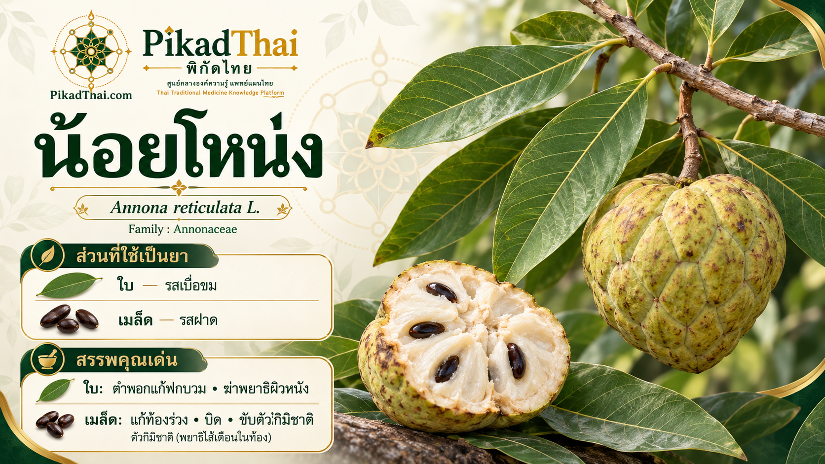 น้อยโหน่ง