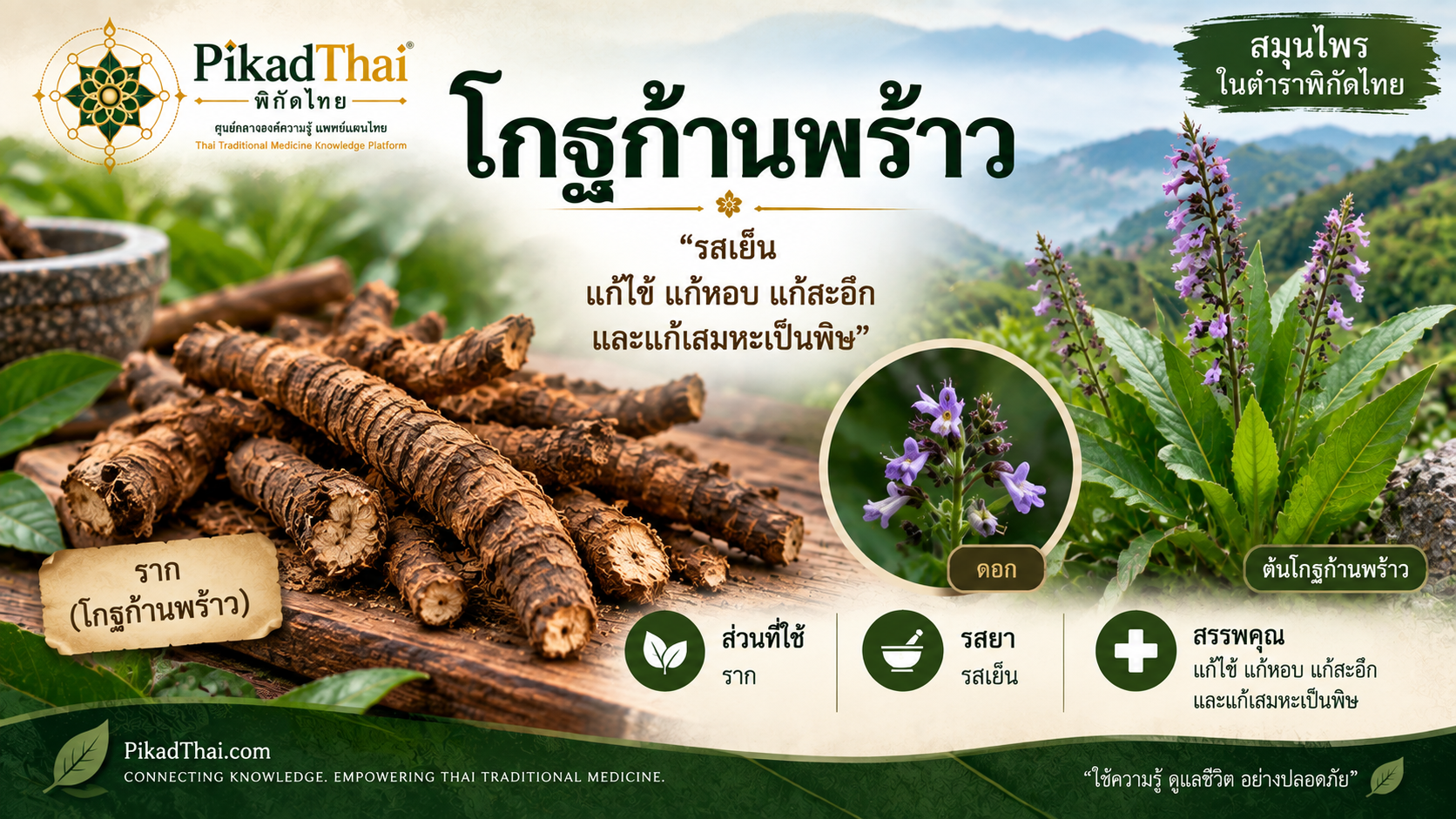 โกฐก้านพร้าว