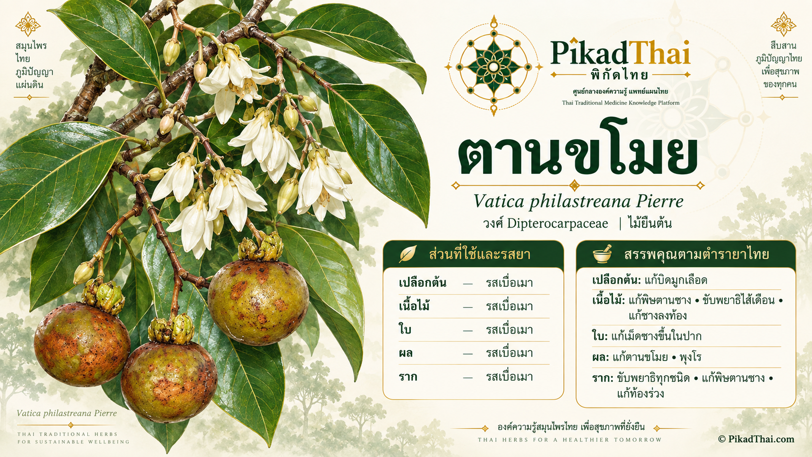 ตานขโมย