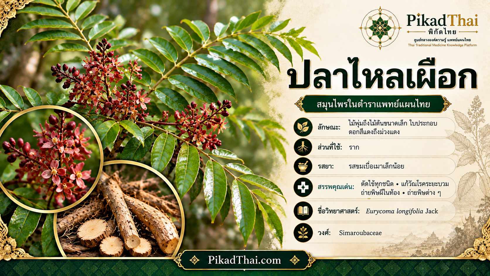 ปลาไหลเผือก