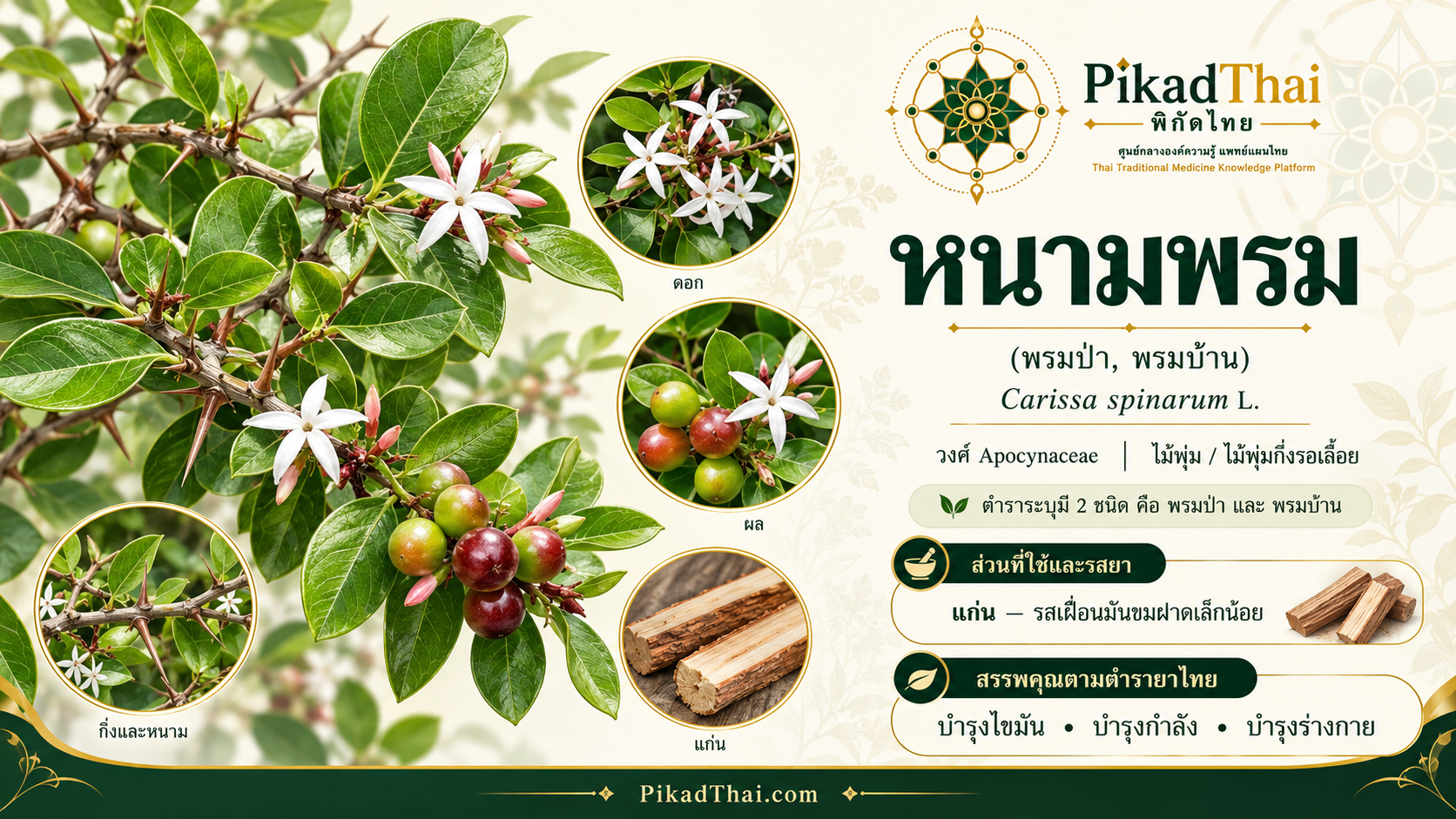 หนามพรม