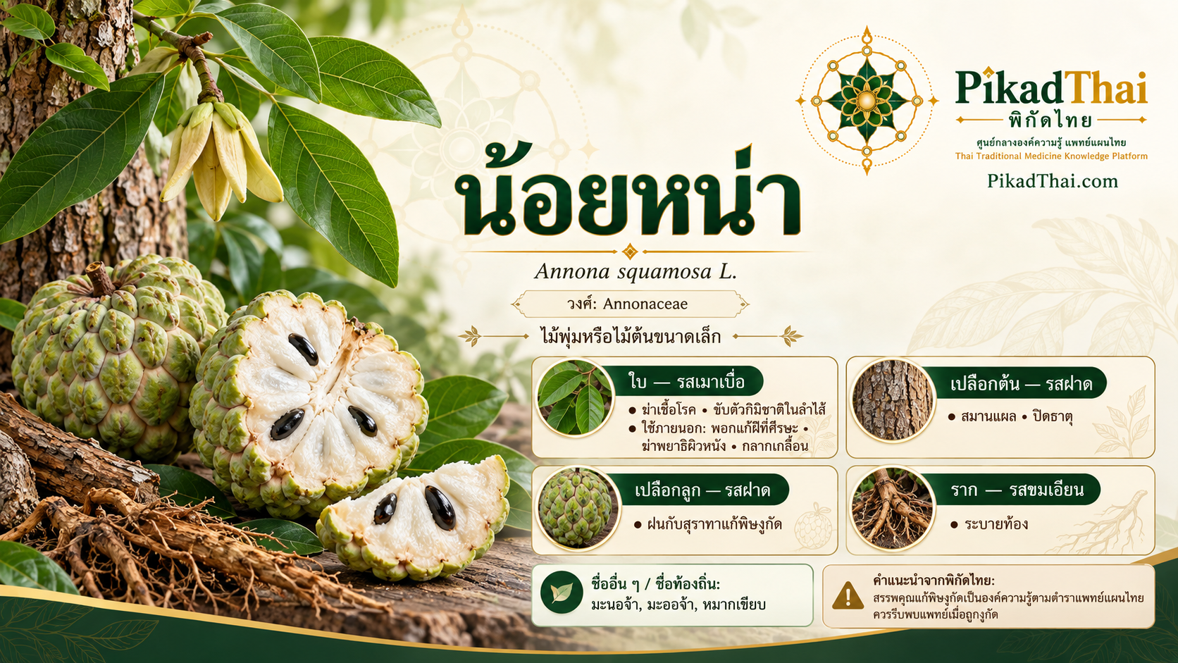 น้อยหน่า