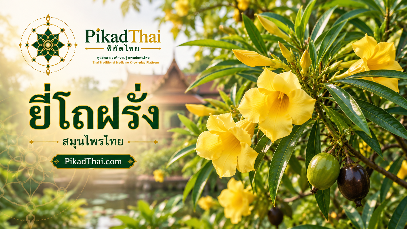 ยี่โถฝรั่ง
