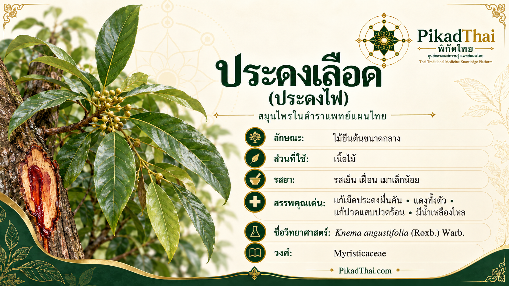 ประดงเลือด (ประดงไฟ)