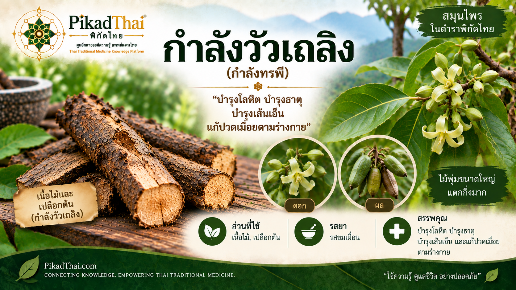 กำลังวัวเถลิง