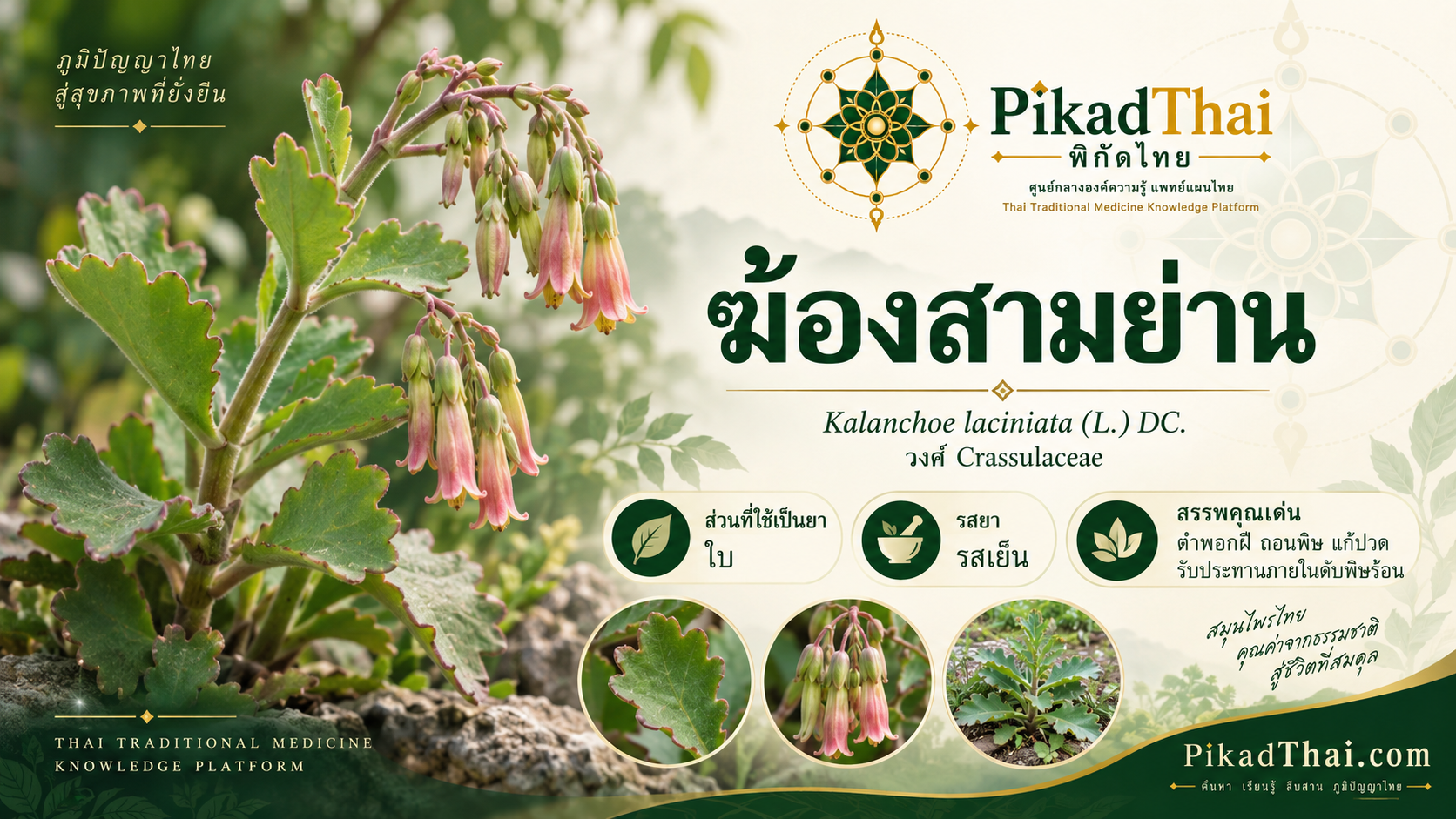 ฆ้องสามย่าน