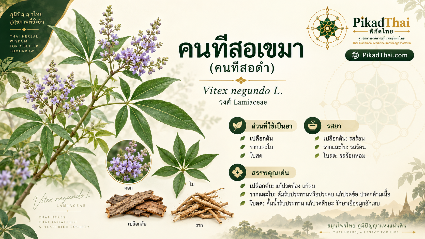 คนทีสอเขมา