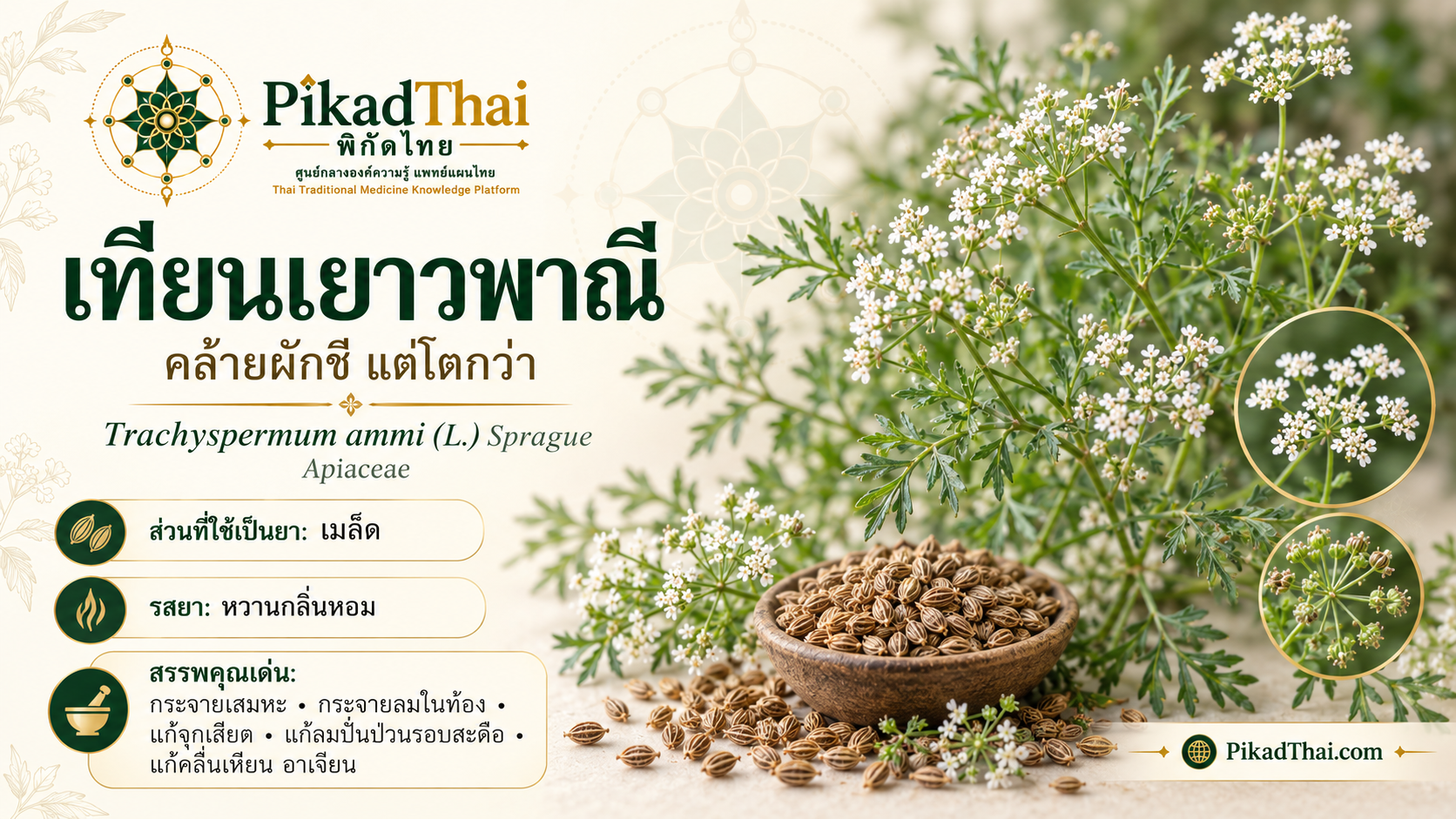 เทียนเยาวพาณี