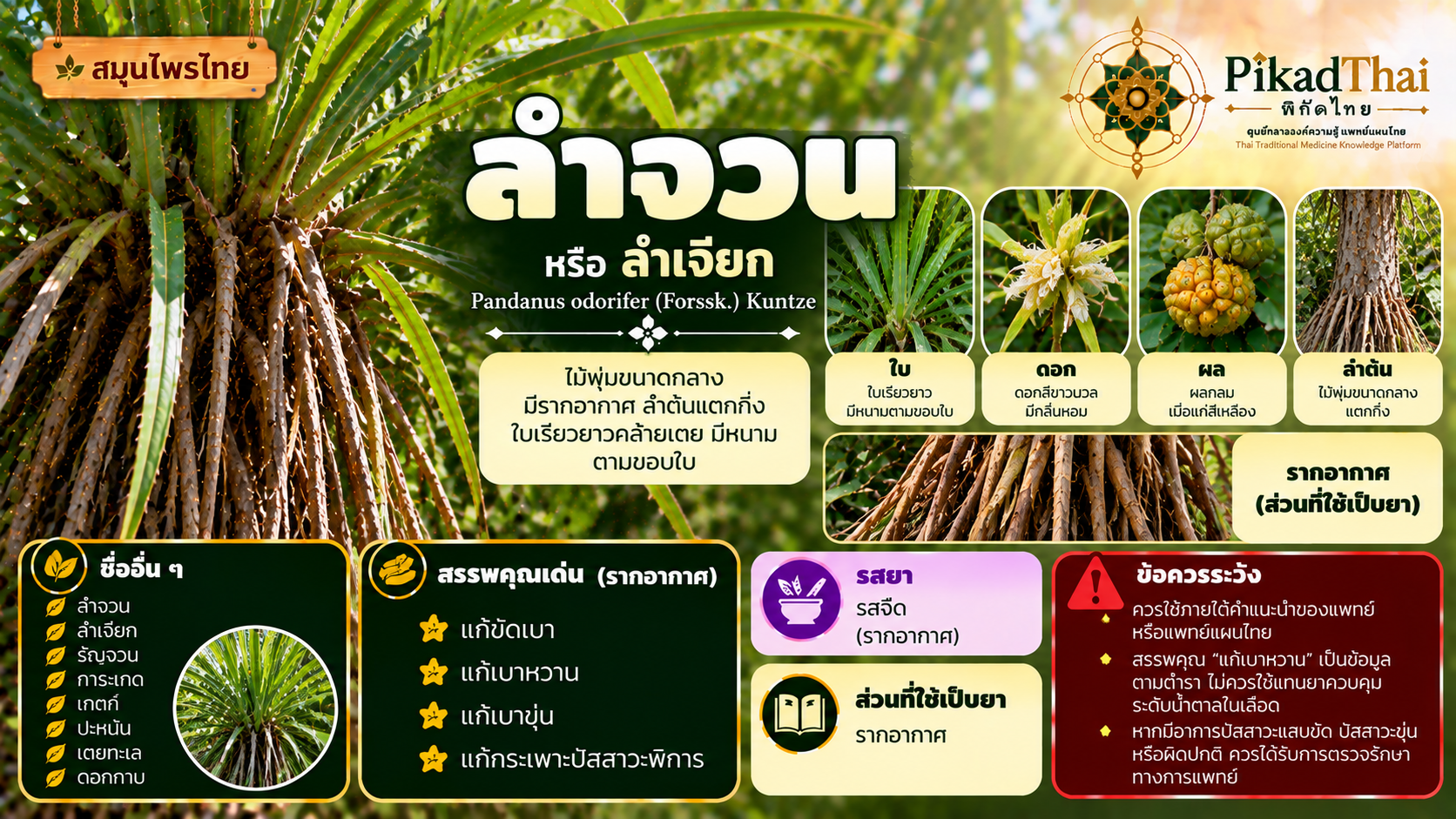 ลำจวน