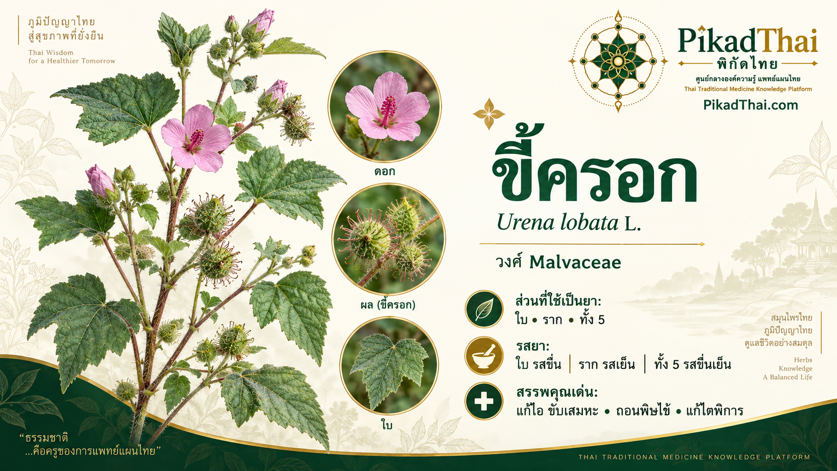 ขี้ครอก