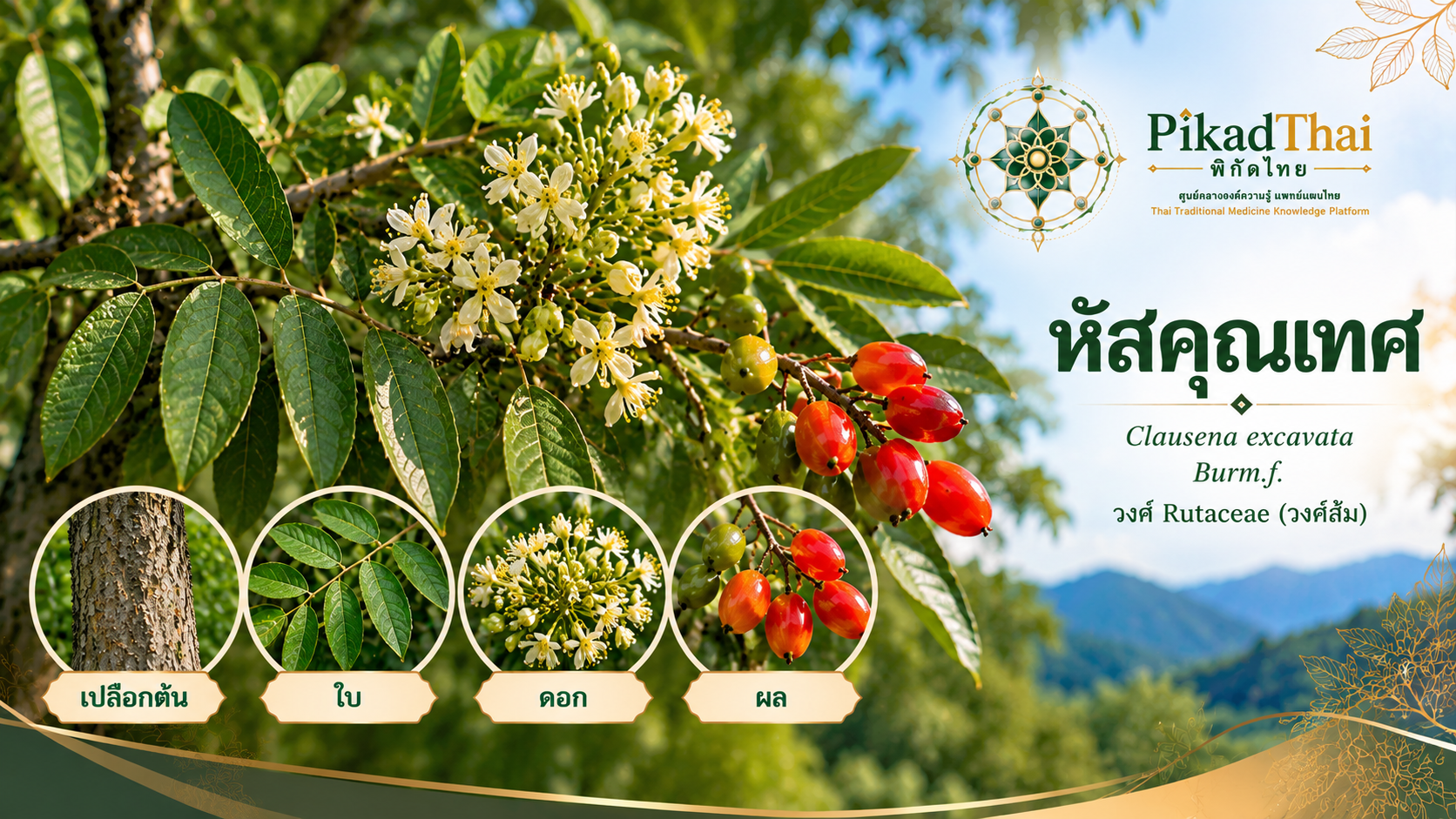 หัสคุณเทศ (หัศคุณเทศ)