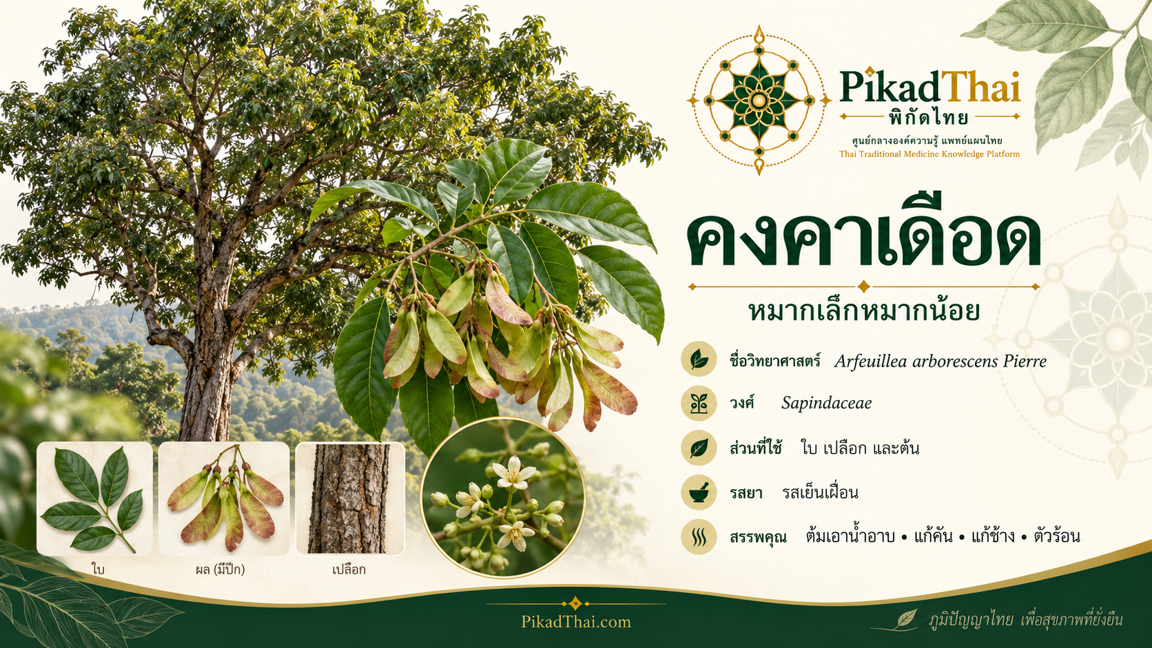 คงคาเดือด