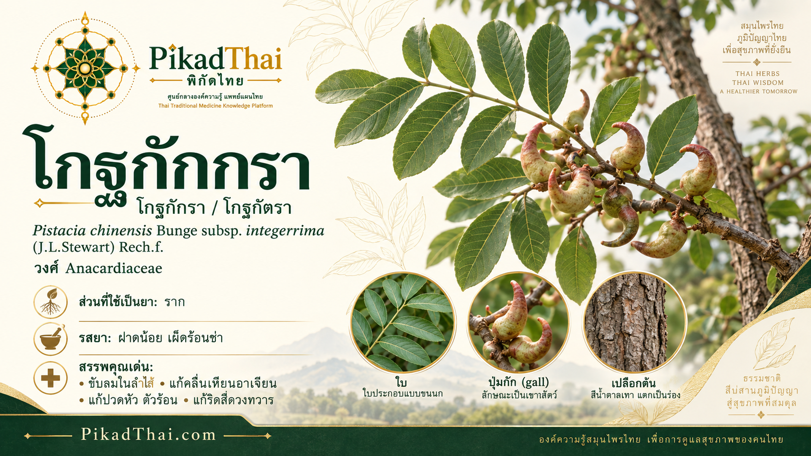โกฐกักกรา