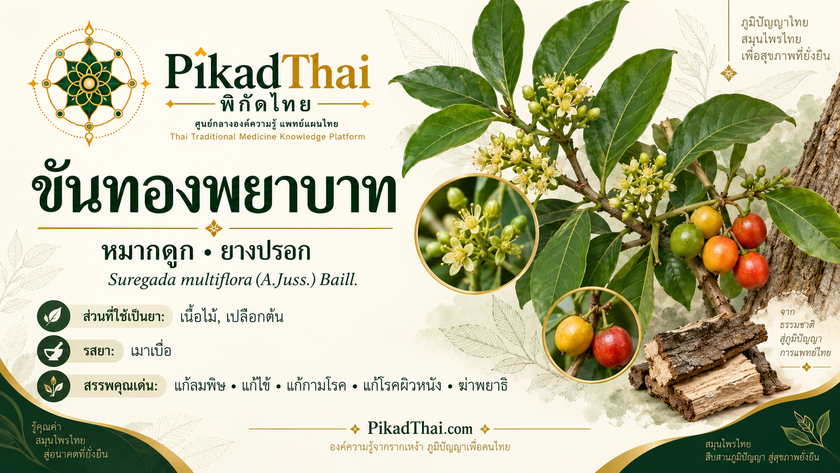 ขันทองพยาบาท