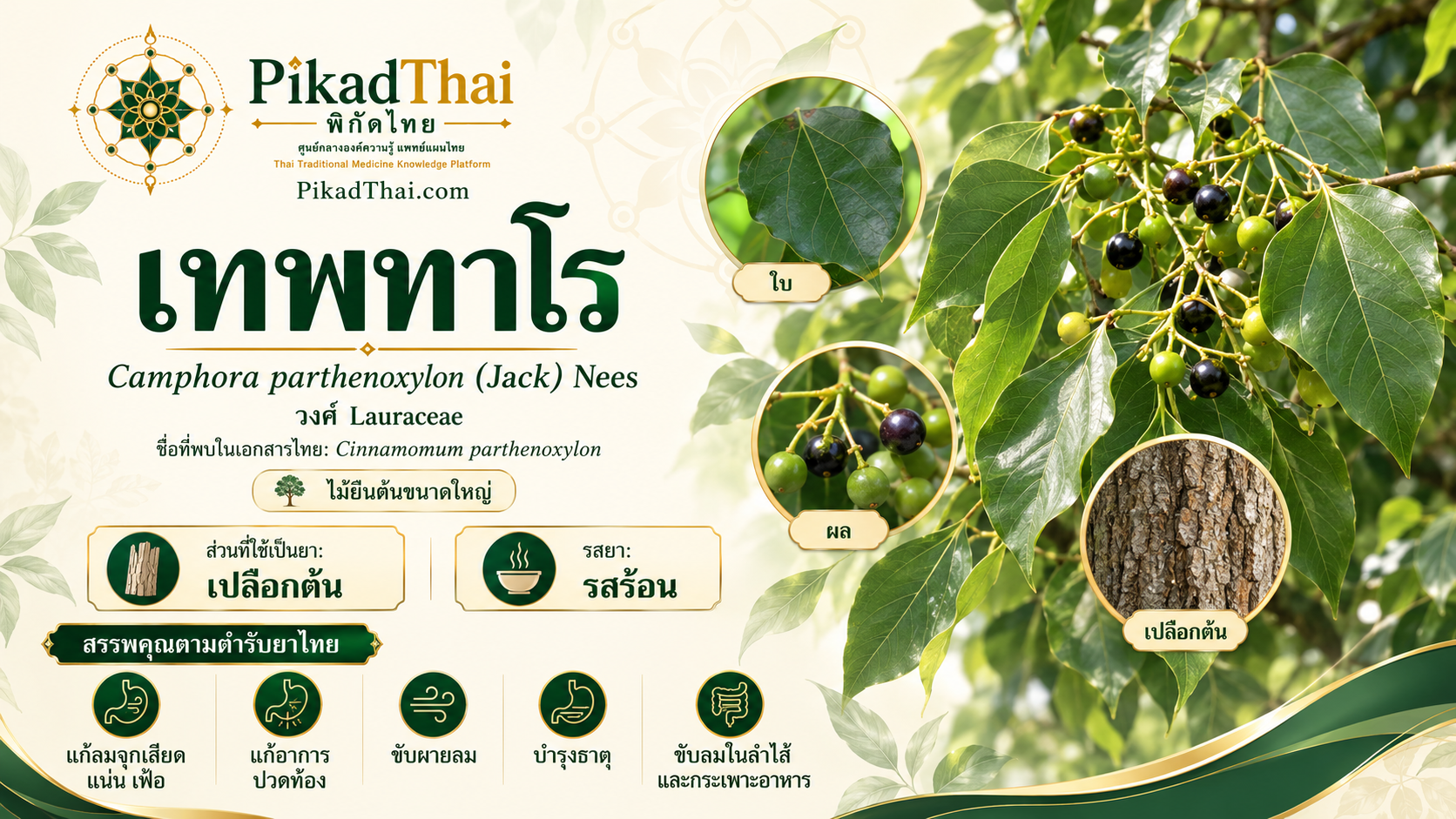 เทพทาโร
