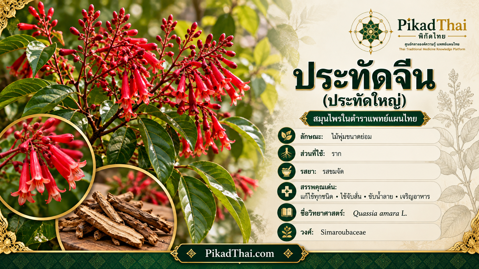 ประทัดจีน (ประทัดใหญ่)