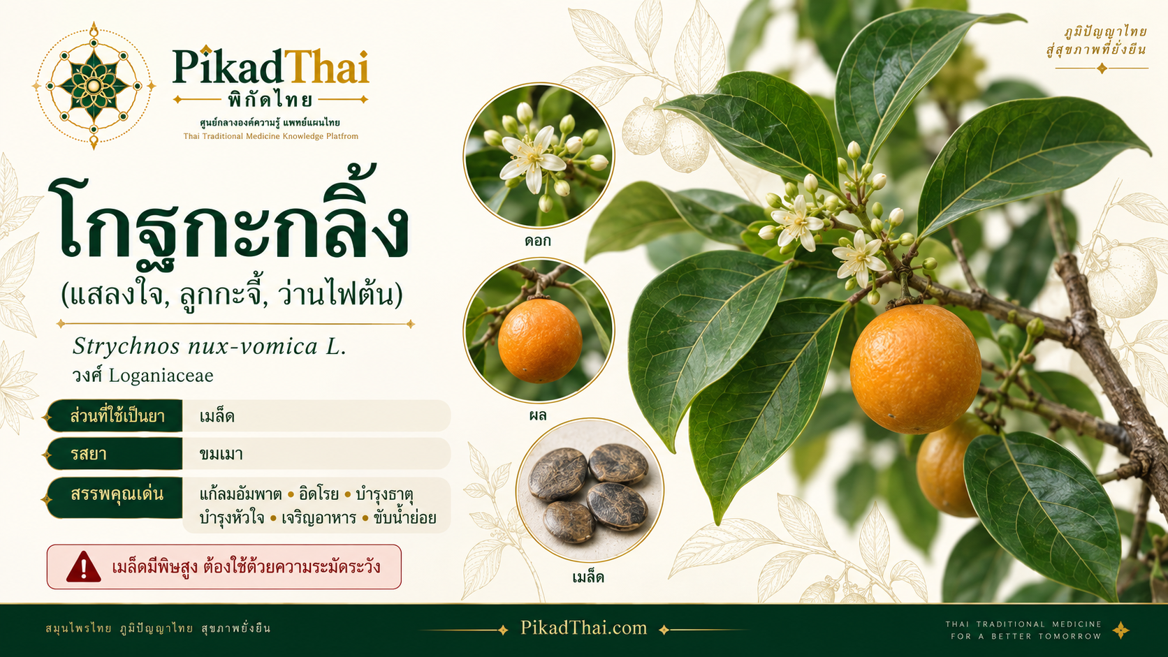 โกฐกะกลิ้ง
