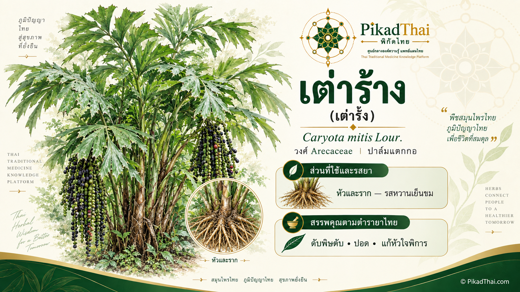 เต่าร้าง (เต่ารั้ง)