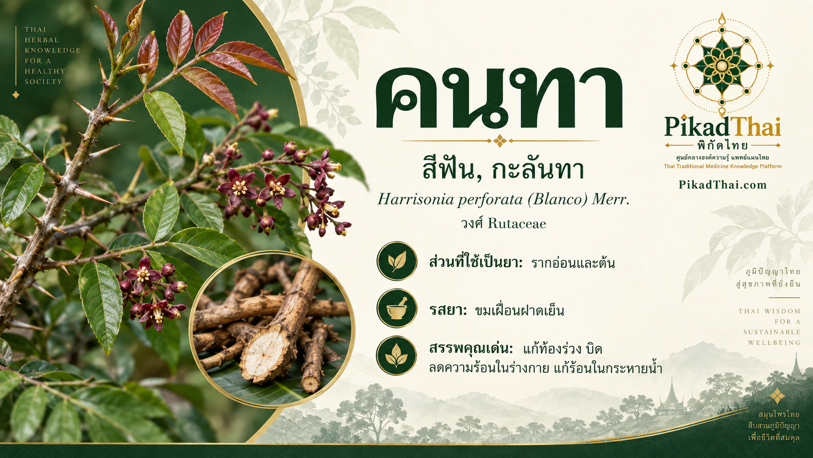 คนทา
