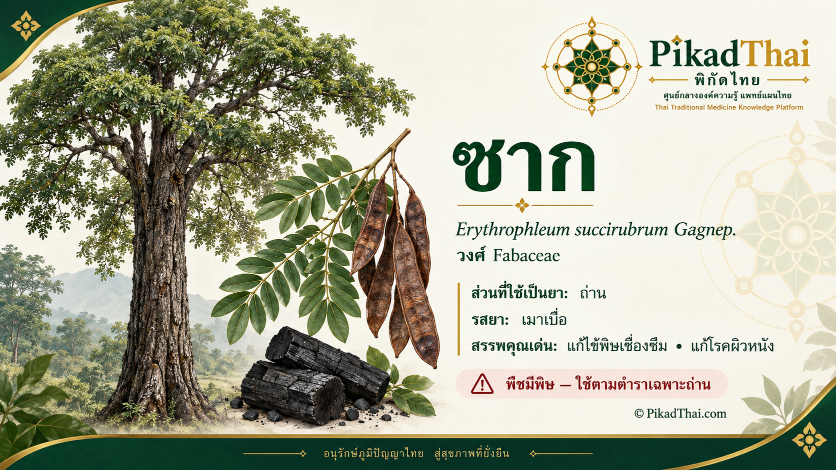 ซาก