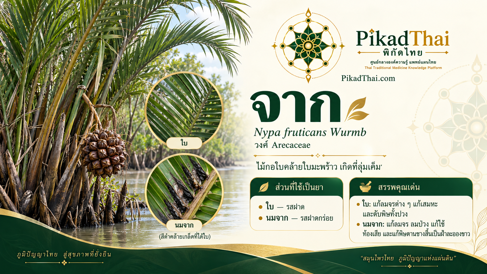 จาก