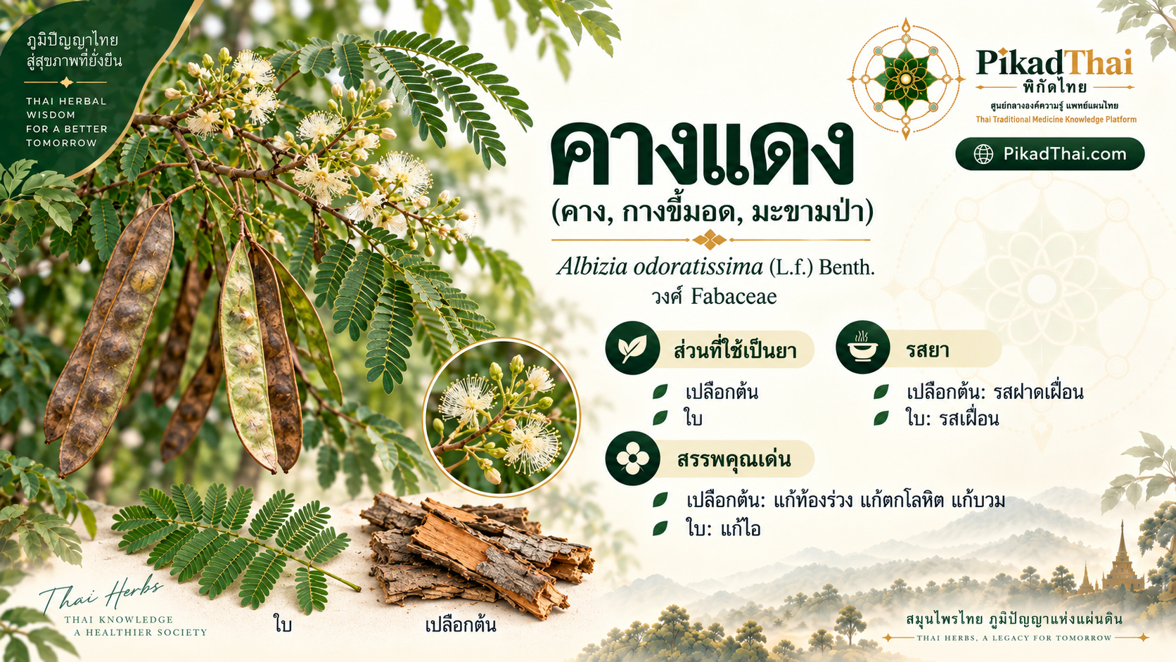 คางแดง