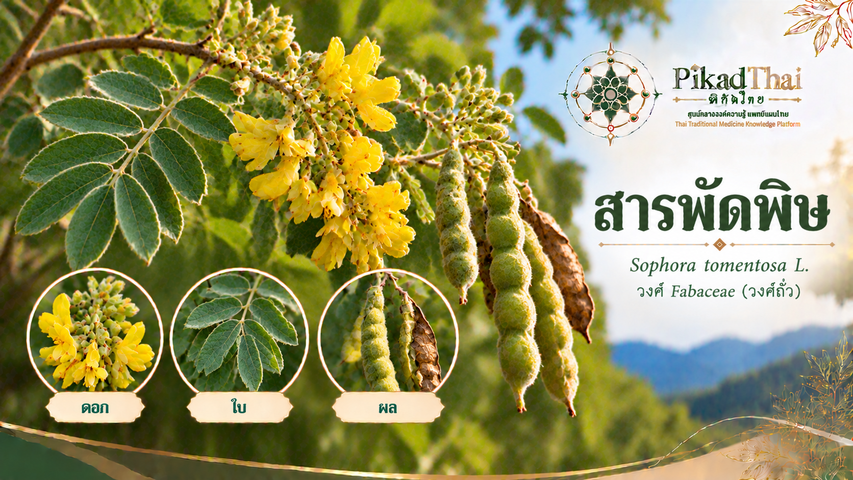 สารพัดพิษ