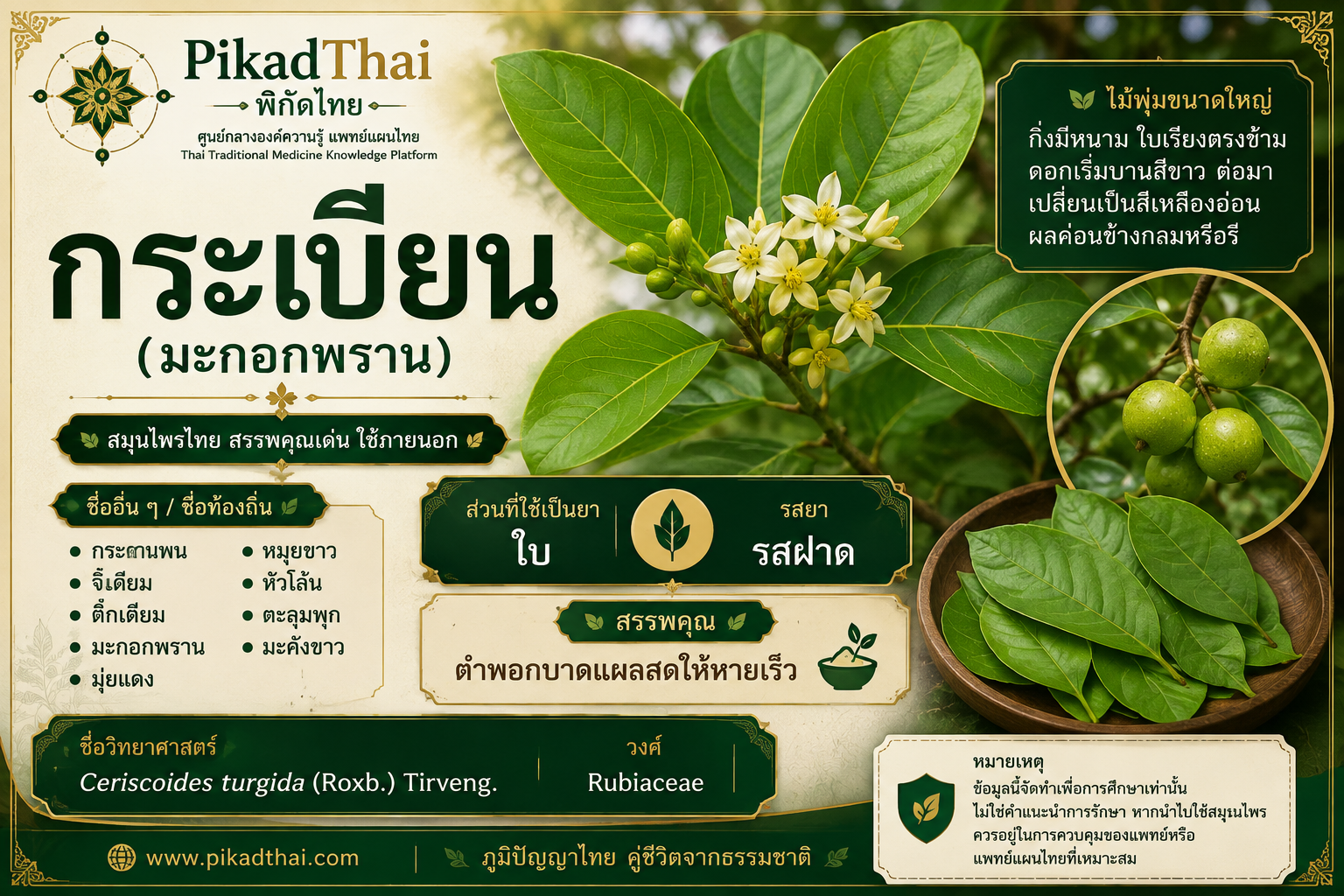 กระเบียน