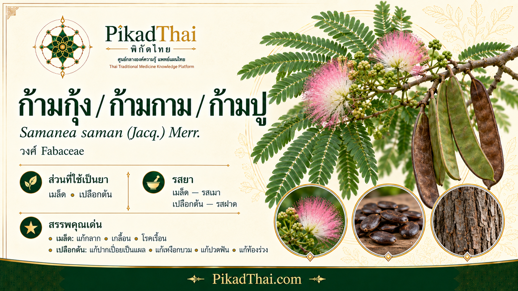 ก้ามกุ้ง / ก้ามกาม / ก้ามปู