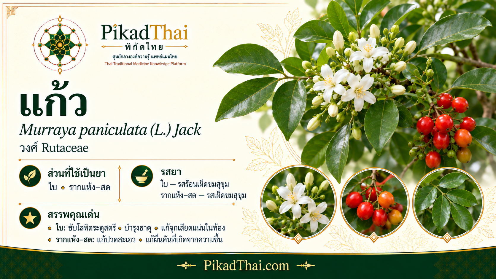 แก้ว
