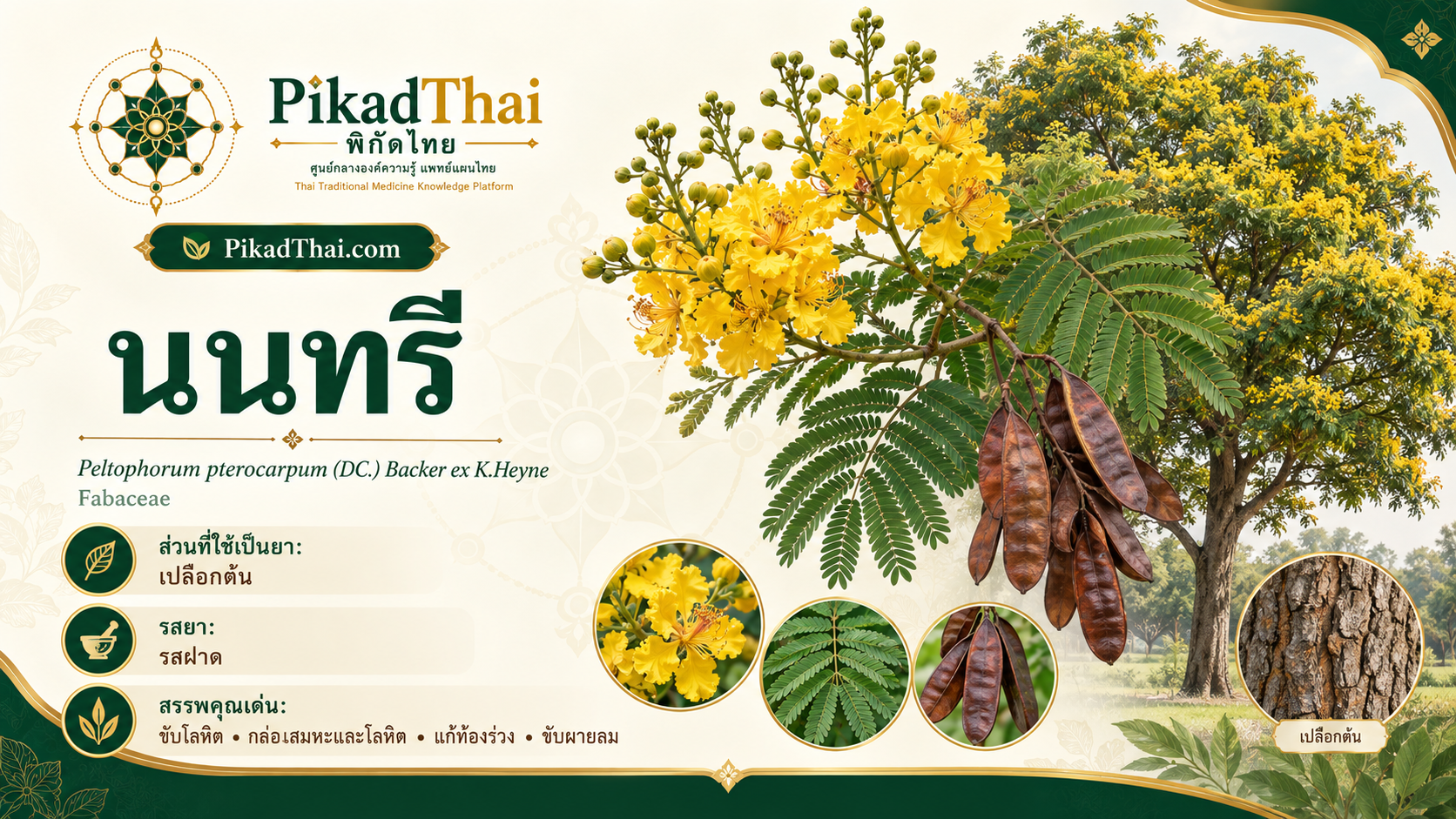 นนทรี