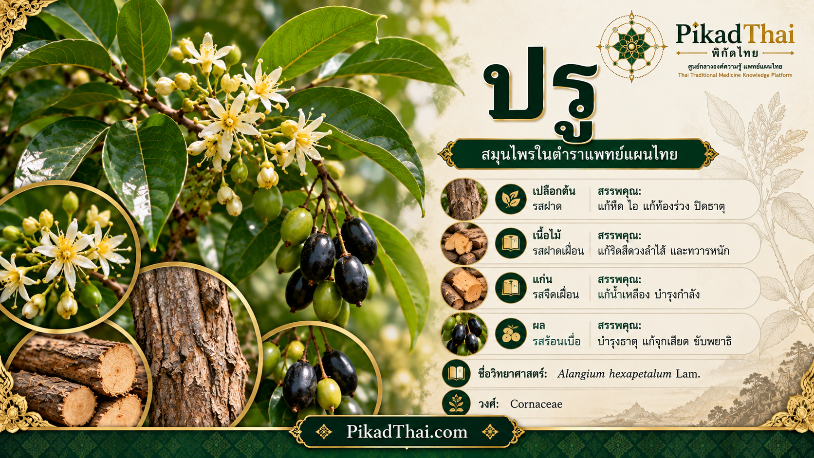 ปรู