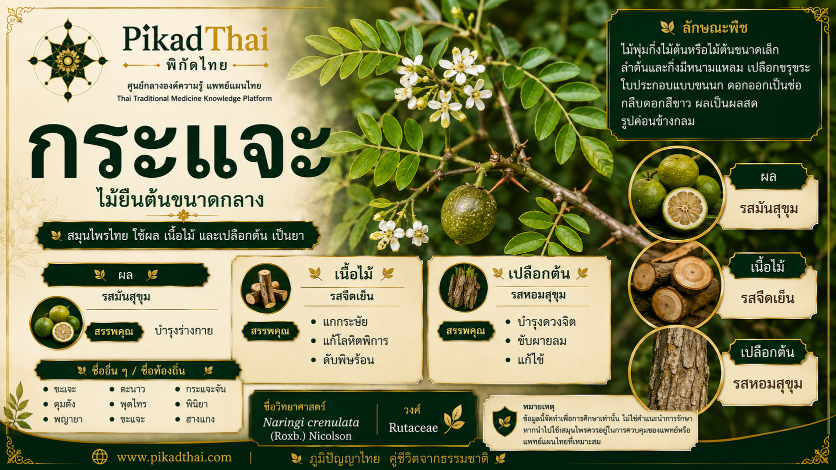 กระแจะ