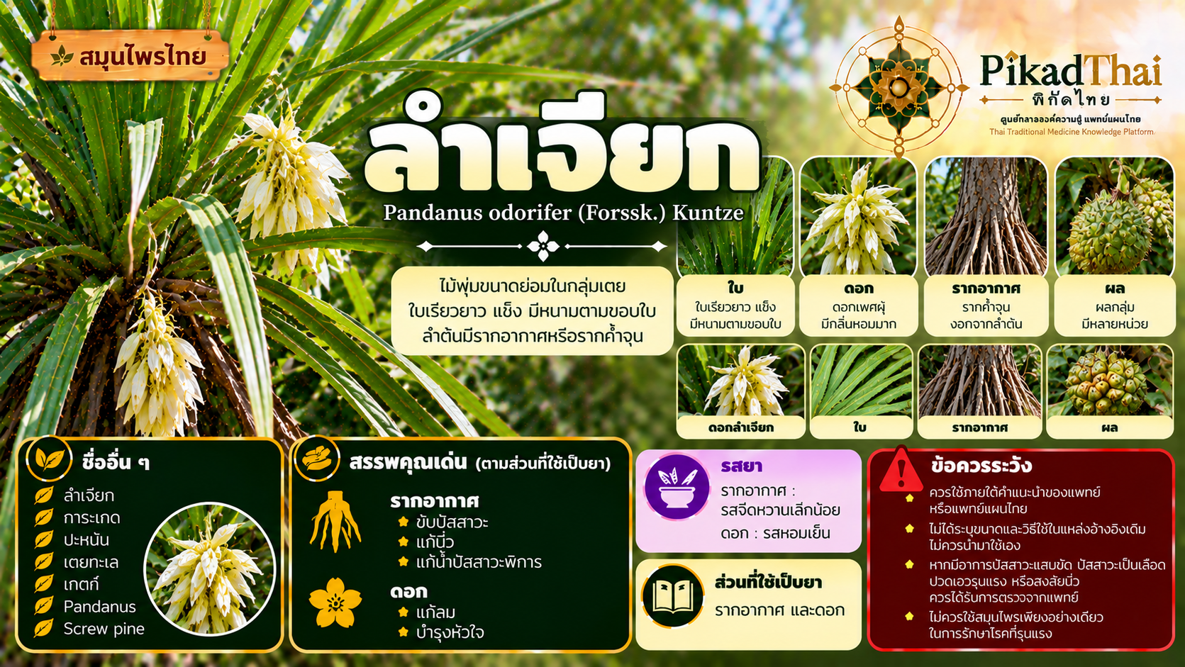 ลำเจียก