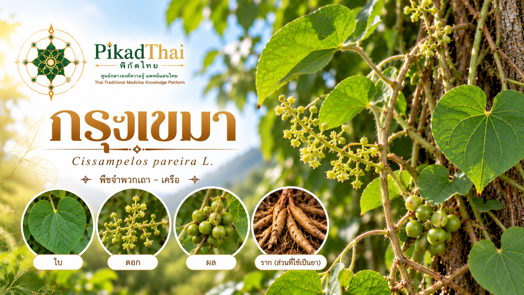 กรุงเขมา