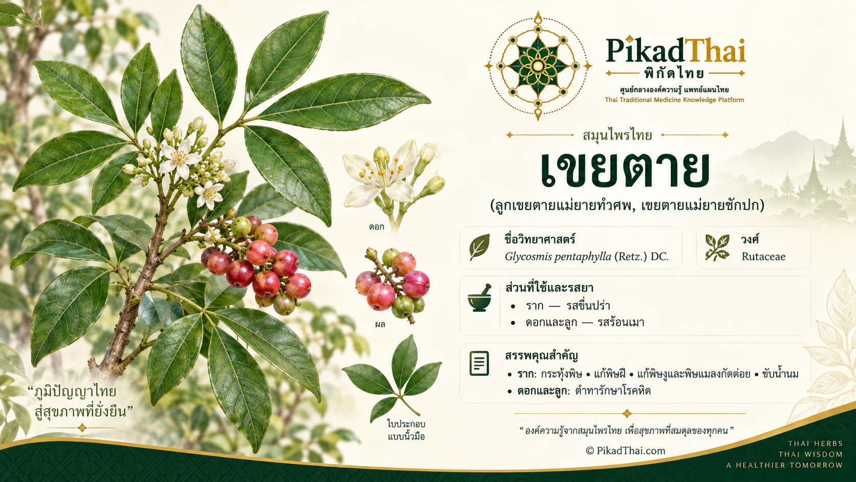เขยตาย