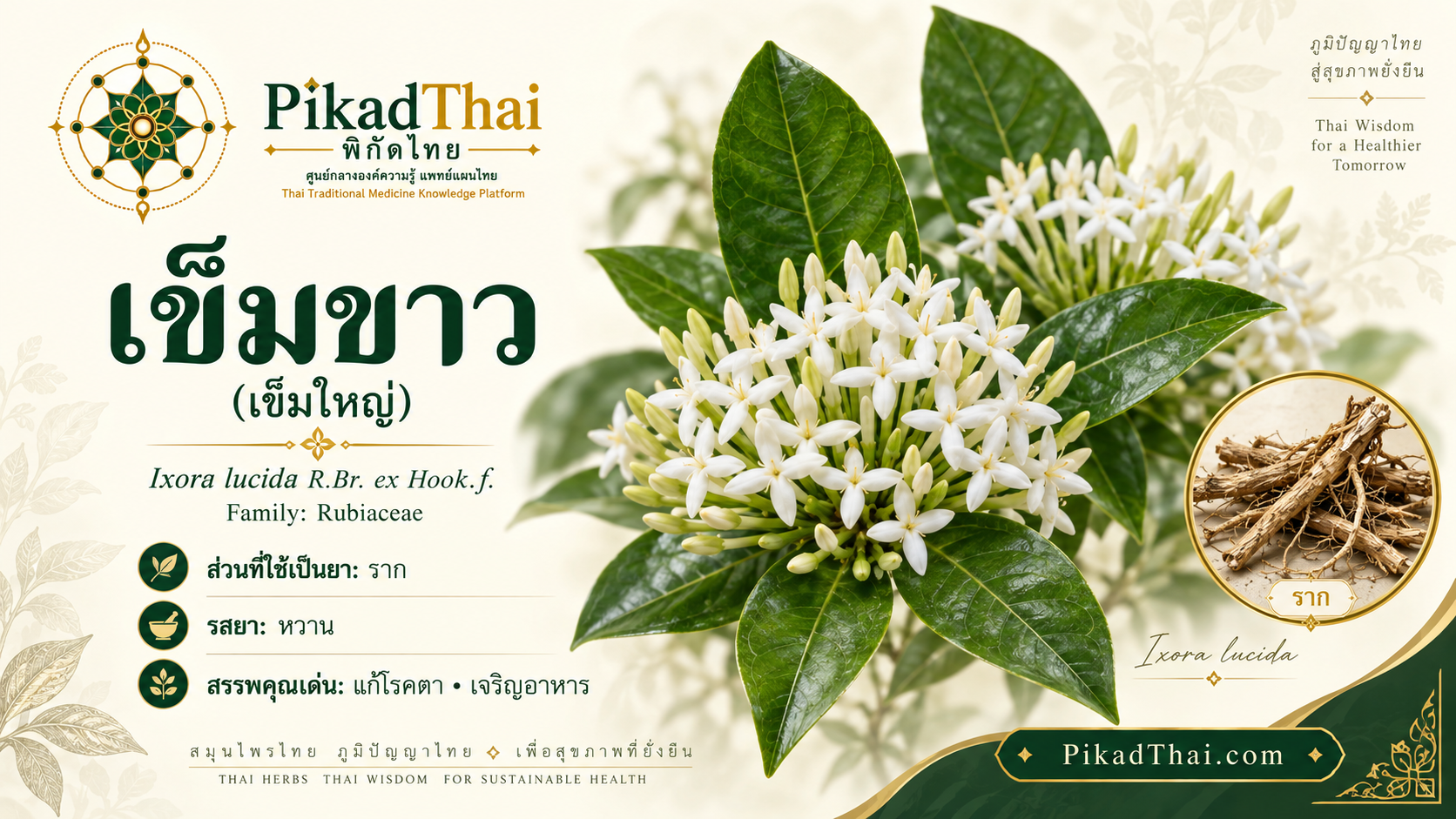 เข็มขาว