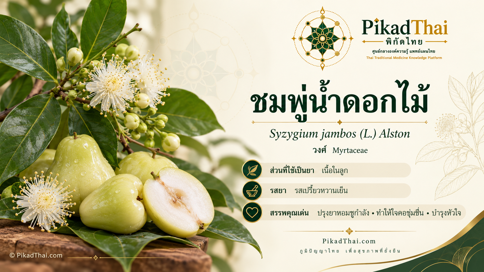 ชมพู่น้ำดอกไม้
