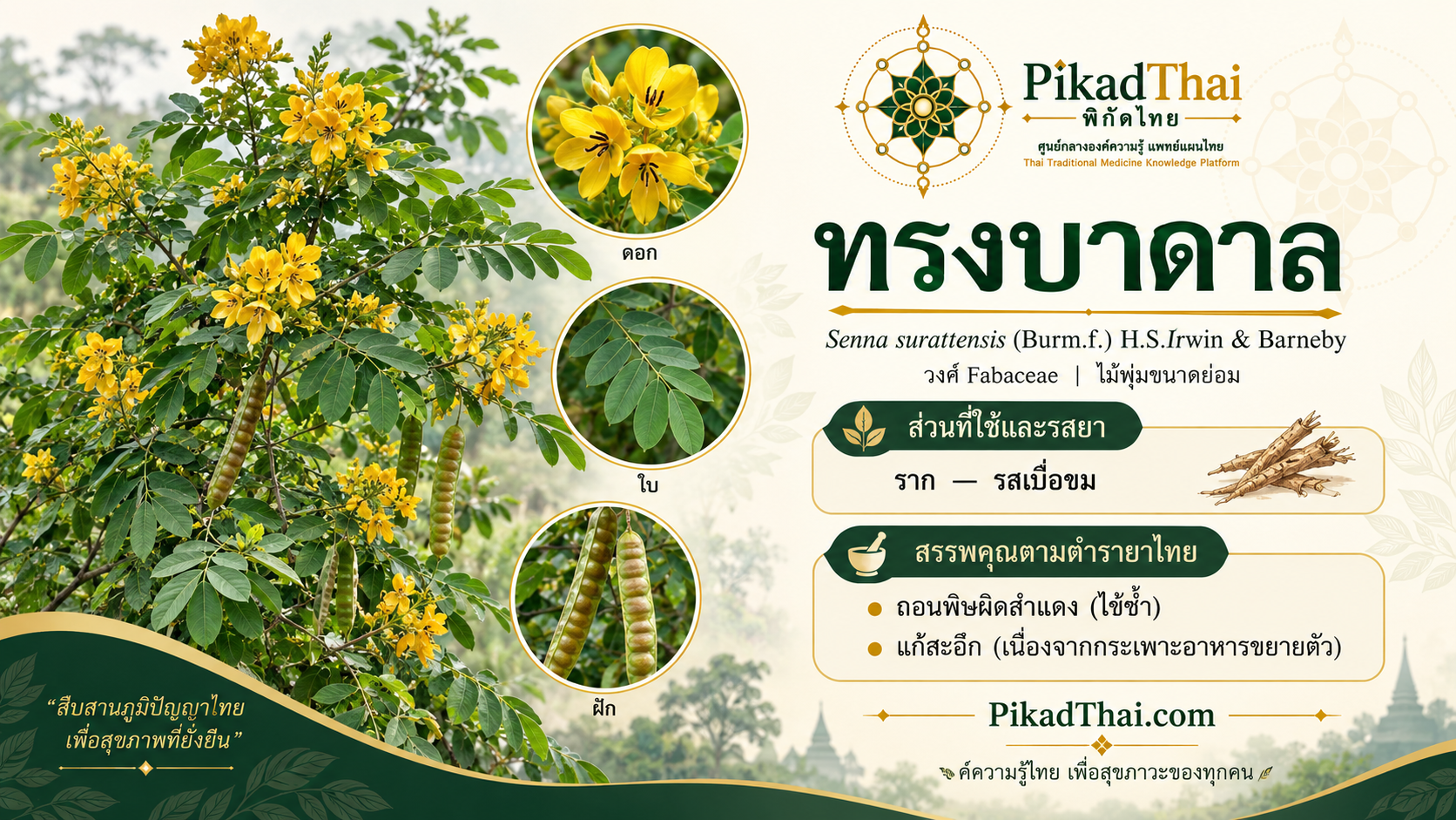 ทรงบาดาล