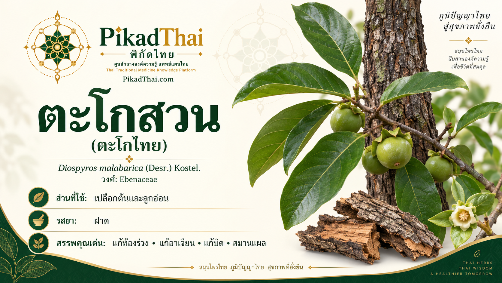 ตะโกสวน