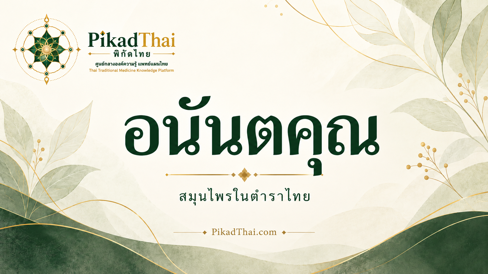 อนันตคุณ